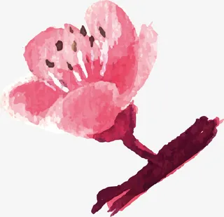 手绘花PNG下载免抠