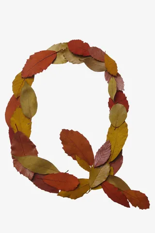 红色叶子字母形状免抠素材免抠