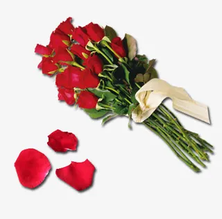 玫瑰花装饰免抠