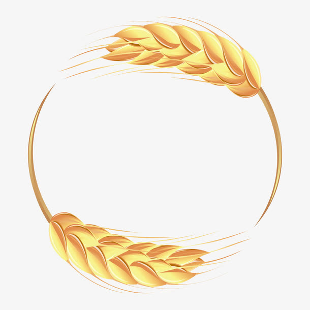 金色小麦免抠
