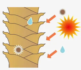 黄色卡通发根免抠