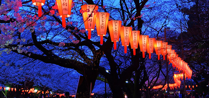 夜晚灯笼背景图高清