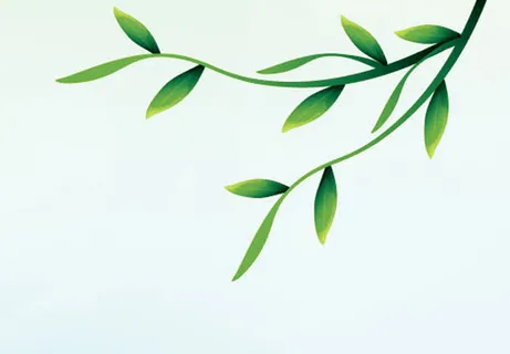 春天绿色儿童植物免抠