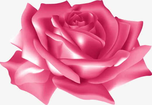 粉色玫瑰免抠