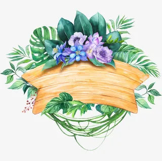 唯美的手绘绿植指示牌免抠