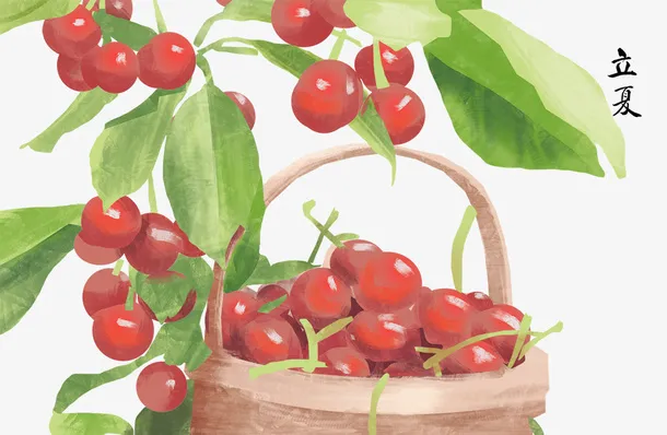 手绘立夏节气插图樱桃熟了插画免抠