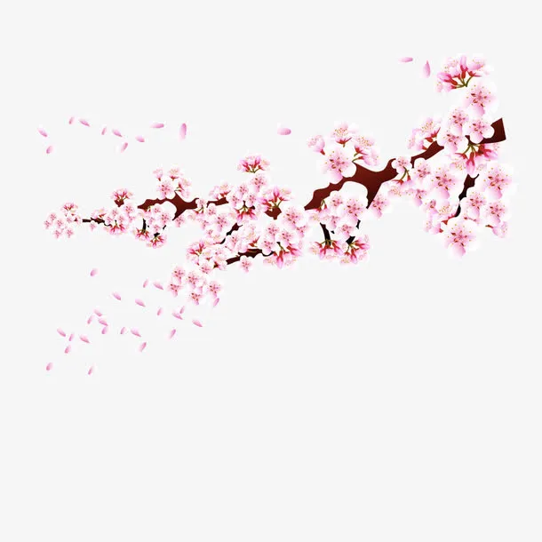 梅花免抠