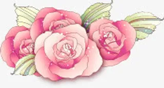 粉色淡雅手绘康乃馨花朵免抠