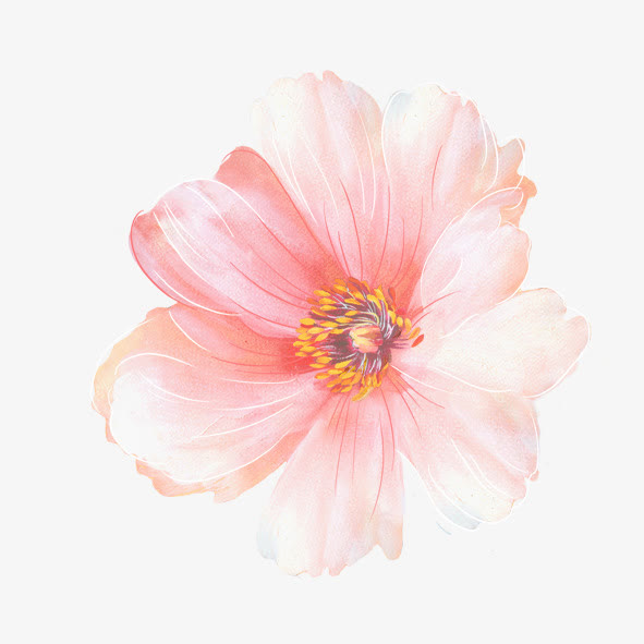 化妆品美丽的花朵素材免抠