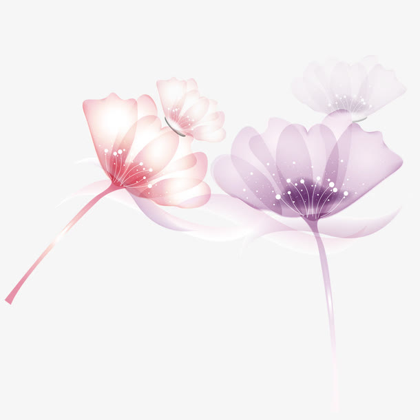 彩绘花朵免抠