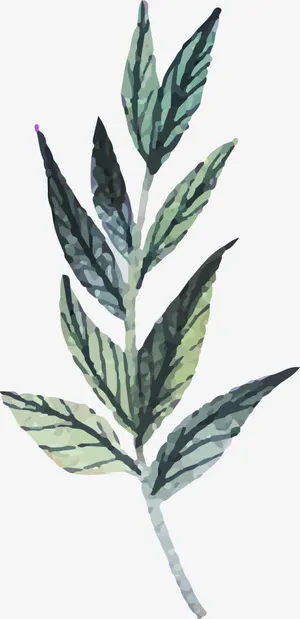 彩绘叶子素材免抠