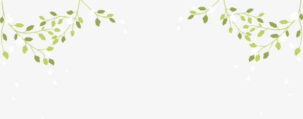 绿色树枝植物免抠