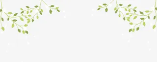 绿色树枝植物免抠