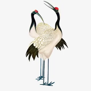 两个仙鹤图片免抠