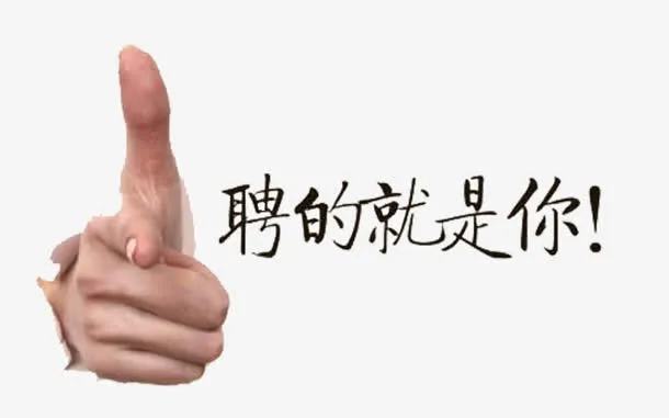 顶尖人才招聘免抠