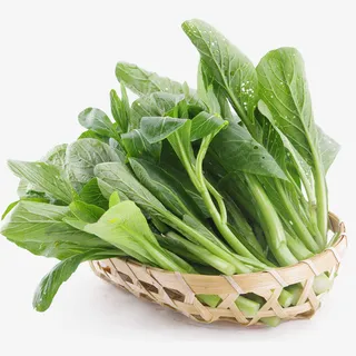 一竹篮新鲜的绿色广东菜心实物免免抠 一竹篮新鲜的绿色广东菜心实物免免抠