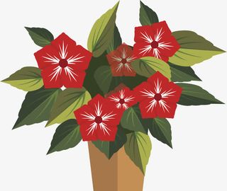 盆栽鲜花PNG下载免抠