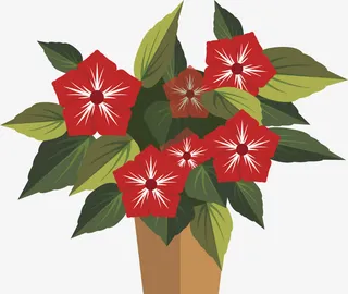 盆栽鲜花PNG下载免抠