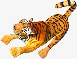 可爱老虎免抠