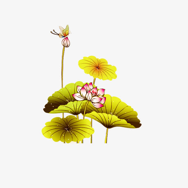 荷花免抠