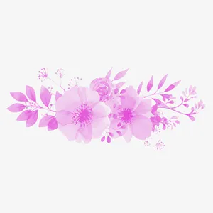 花，花瓣，花朵78免抠