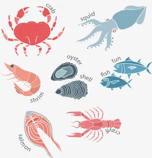 矢量手绘海鲜免抠