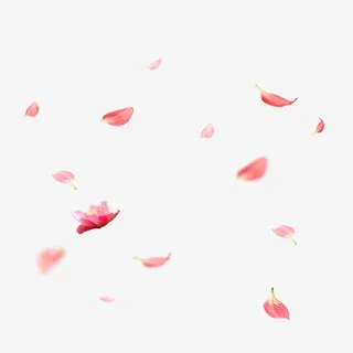 花瓣免抠