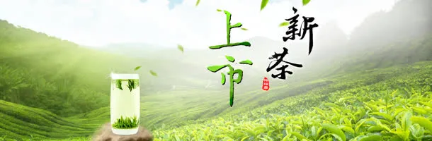 新茶上市茶叶文化网站PSD分层免抠