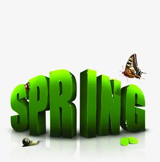 手绘清新绿色立体艺术春天字体免抠