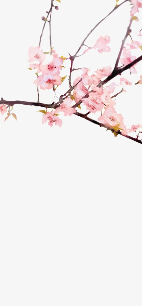 古风粉色桃花枝免抠