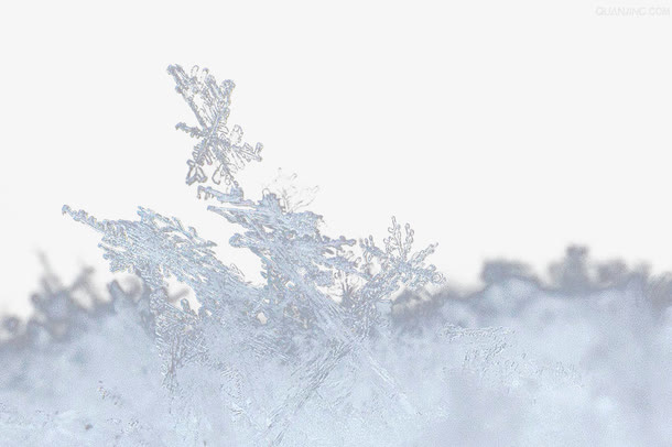 积雪免抠