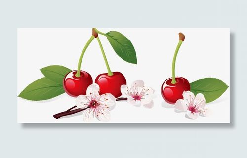 矢量卡通樱花樱桃免抠