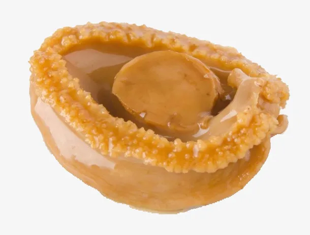 一只可爱的大鲍鱼免抠