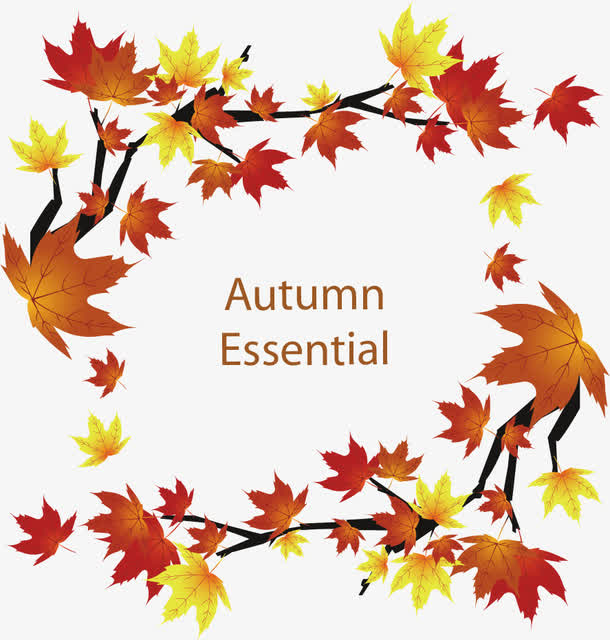 秋叶矢量图免抠