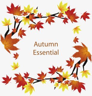 秋叶矢量图免抠