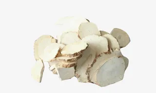 中药材白芷免抠