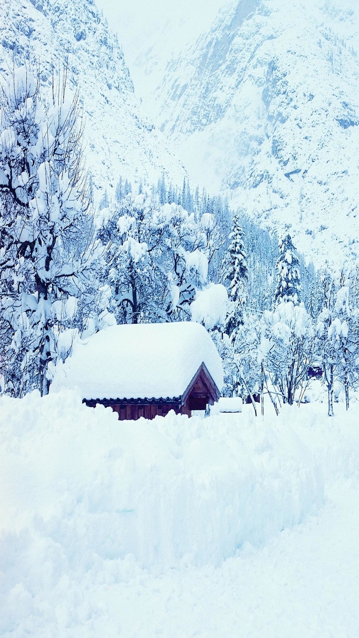 背景H5大雪雪地高清