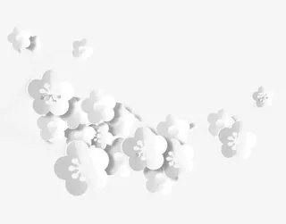 纸梅花白纸梅花免抠