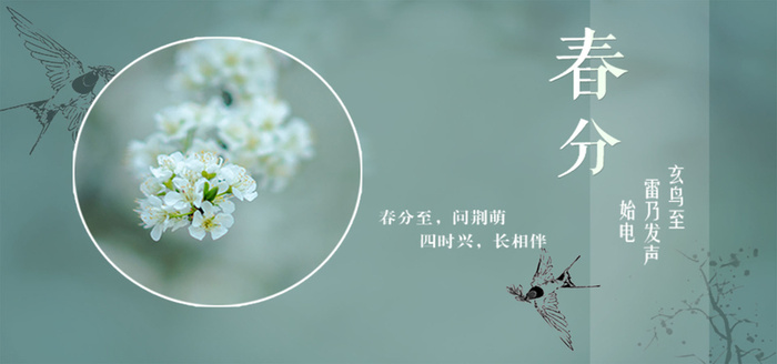 节气背景高清