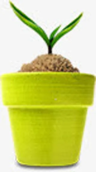 开学季绿色花盆小草免抠