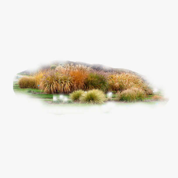 秋景免抠