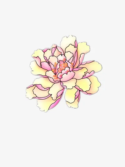 牡丹   中秋节图片  中秋节免抠