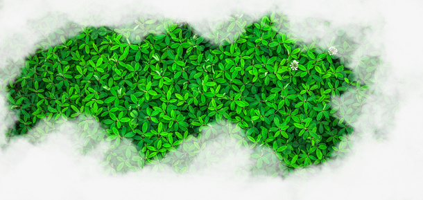 春天绿色绿叶植物免抠