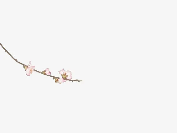粉色桃花树枝素材免抠