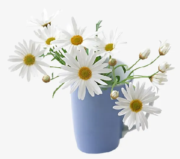 装饰素材田园风模板免抠