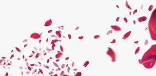 漫天飞舞零落红色花瓣免抠