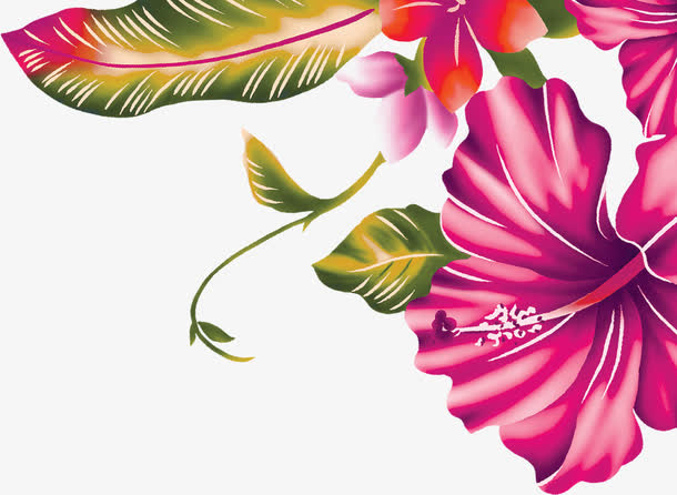 红色花免抠