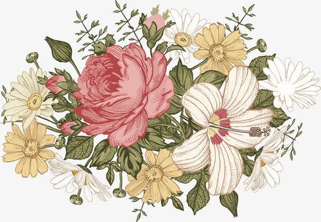 美丽花朵PNG下载免抠
