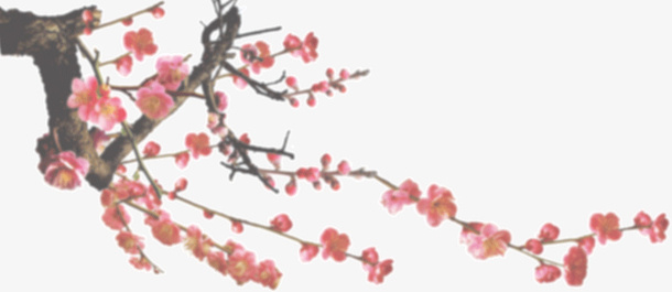 梅花边角免抠