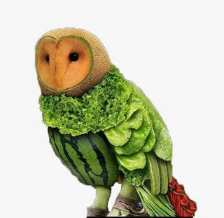 免扣素材鸟免抠